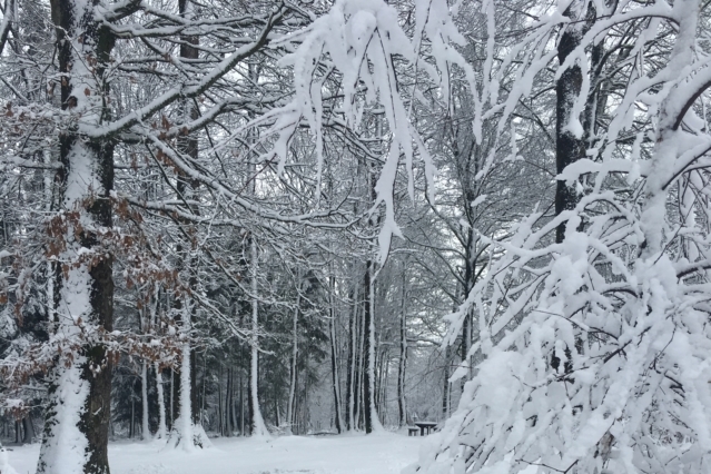 PASSER UN HIVER SEREIN